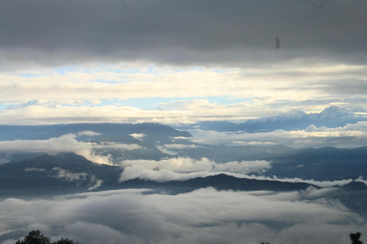 Junglaat Stays & Experiences Dharamszala Kültér fotó